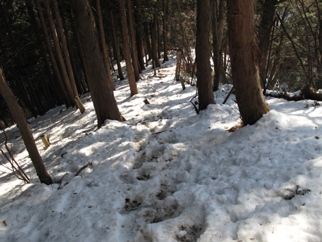 20160128hike (230)